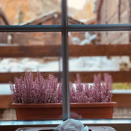 Bull Апартаменты