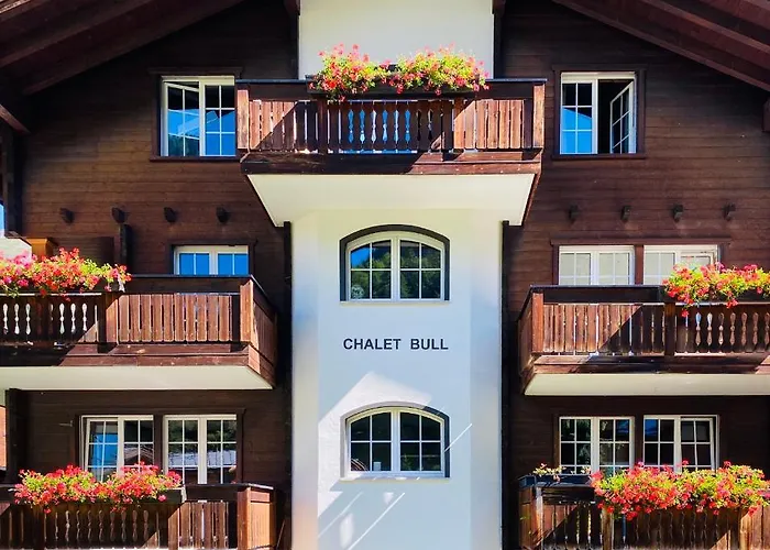 Bull *