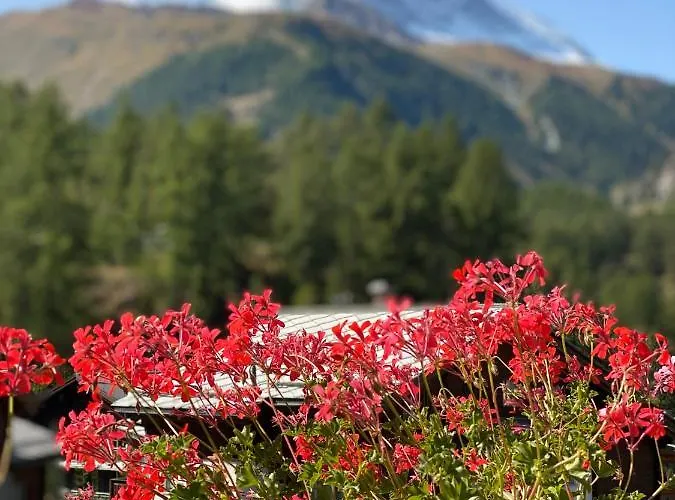Bull Apartman Zermatt